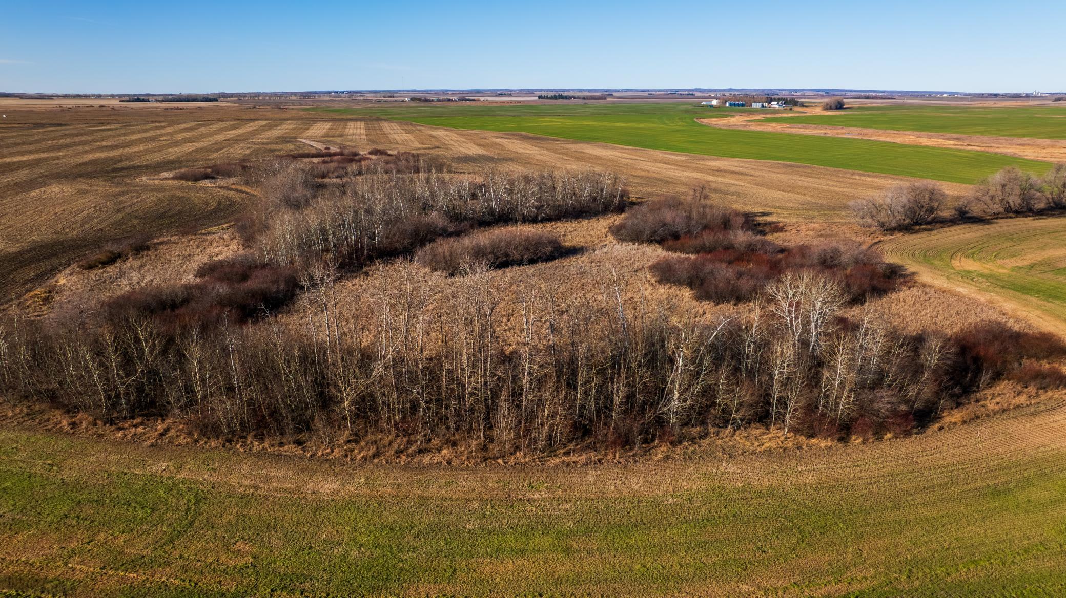 95 St Ne Parcel 2 Rolla Nd 58367 Perth, ND 58363 - Photo 10 of 13