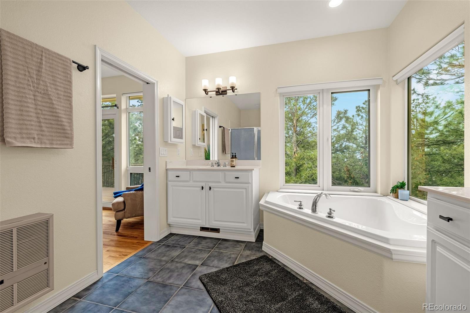 25 Leaming Road Colorado Springs, CO 80906 - Photo 26 of 48 a large white tub sitting in a bathroom next to a window