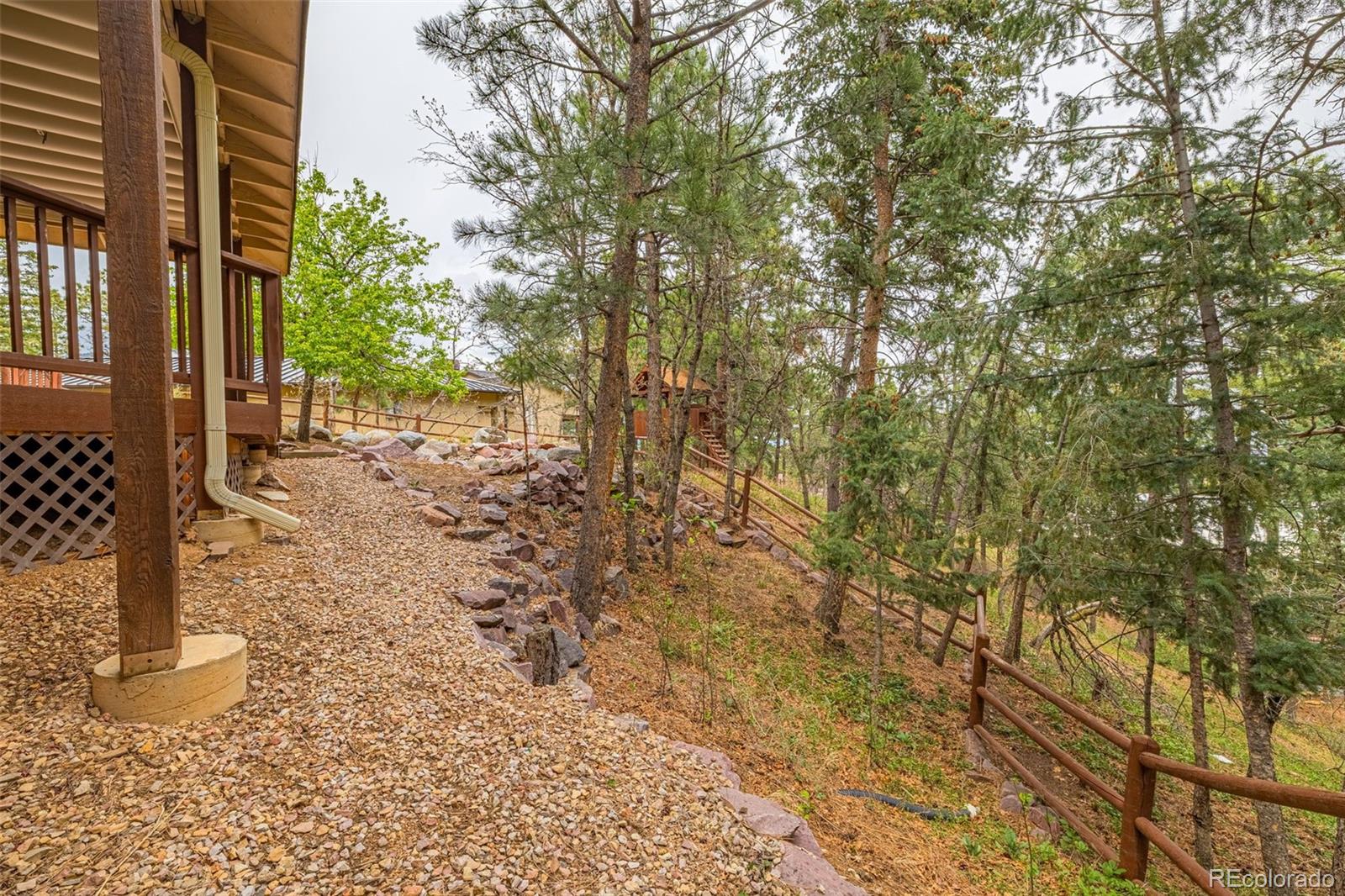 25 Leaming Road Colorado Springs, CO 80906 - Photo 38 of 48 a view of a yard with plants and trees