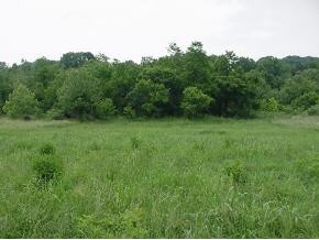 Lot O Bill Mauk Road, Unit O Chuckey, TN 37641 - Photo 2 of 4 Photo 2