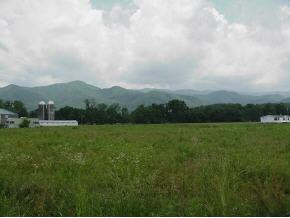 Lot O Bill Mauk Road, Unit O Chuckey, TN 37641 - Photo 3 of 4 Photo 3