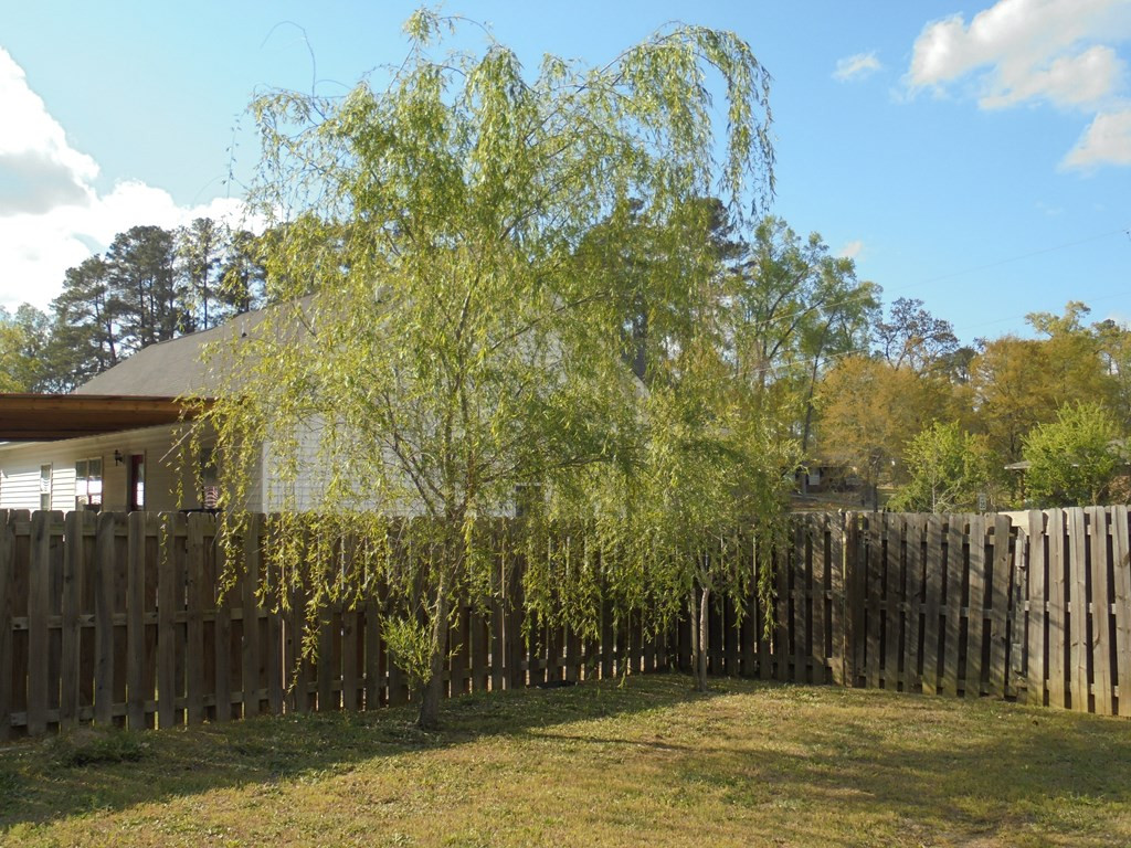 170 Nelson Road Dearing, GA 30808 - Photo 6 of 24