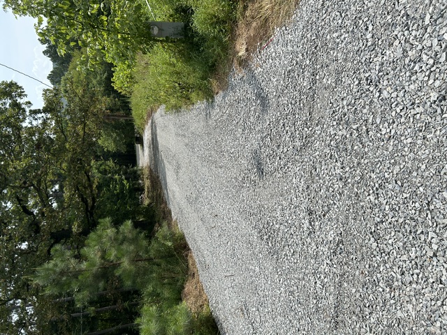 13303 Hummingbird Road Elkins, AR 72727 - Photo 23 of 24 Gravel driveway lined with mature trees and established landscaping, providing a private approach to the property with natural screening and verdant surroundings