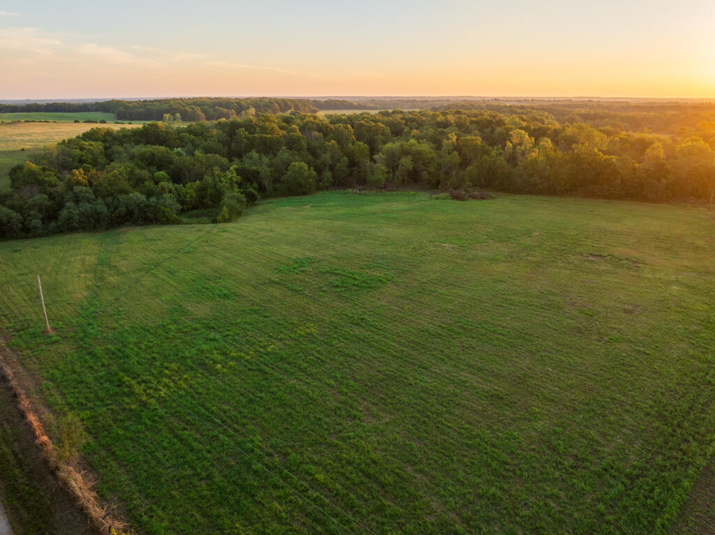 2395 Southwest County Road Hume, MO 64752 - Photo 31 of 81 Bates 50 (MLS)--32