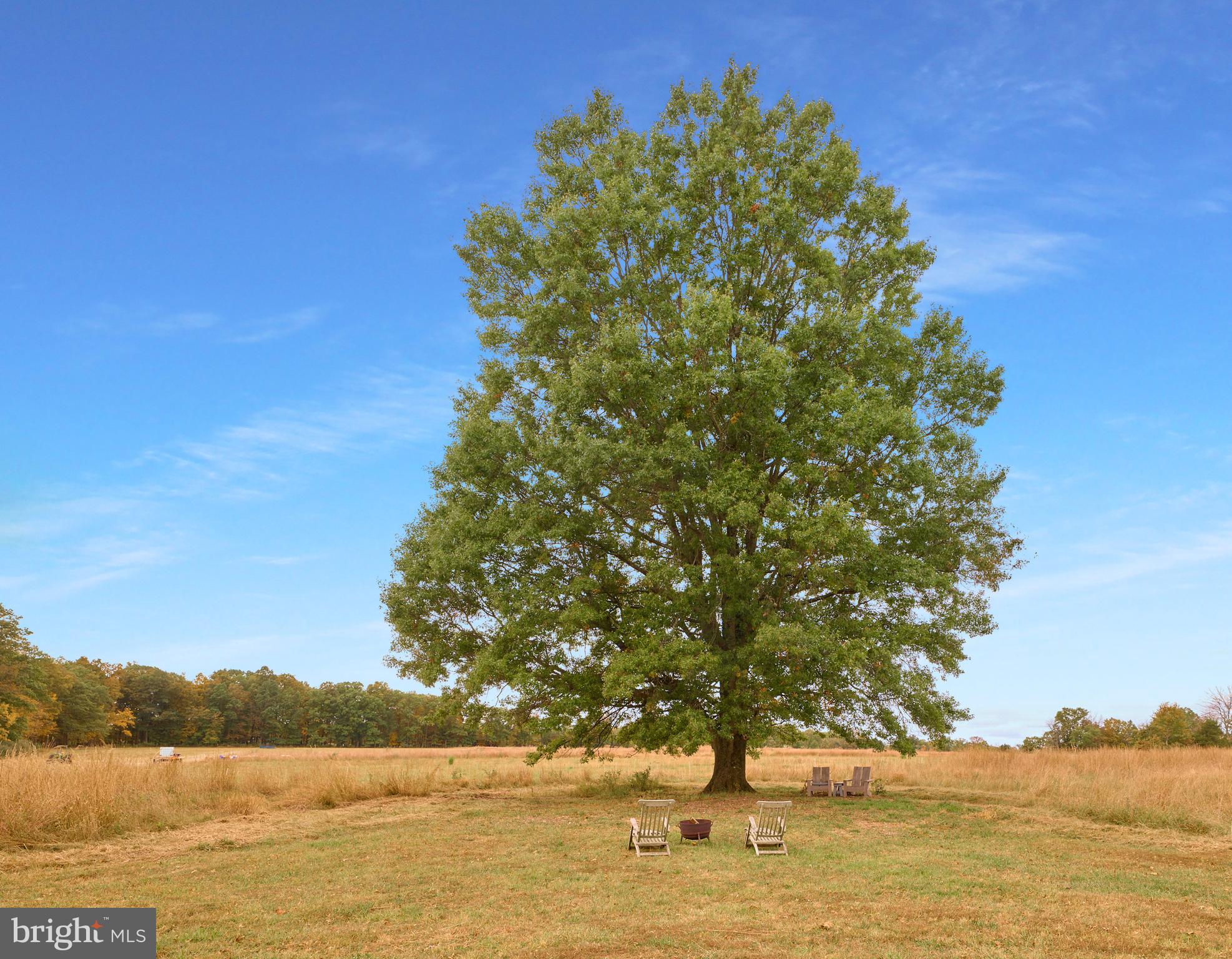 641 Cafferty Road Ottsville, PA 18942 - Photo 11 of 45 a view of lake