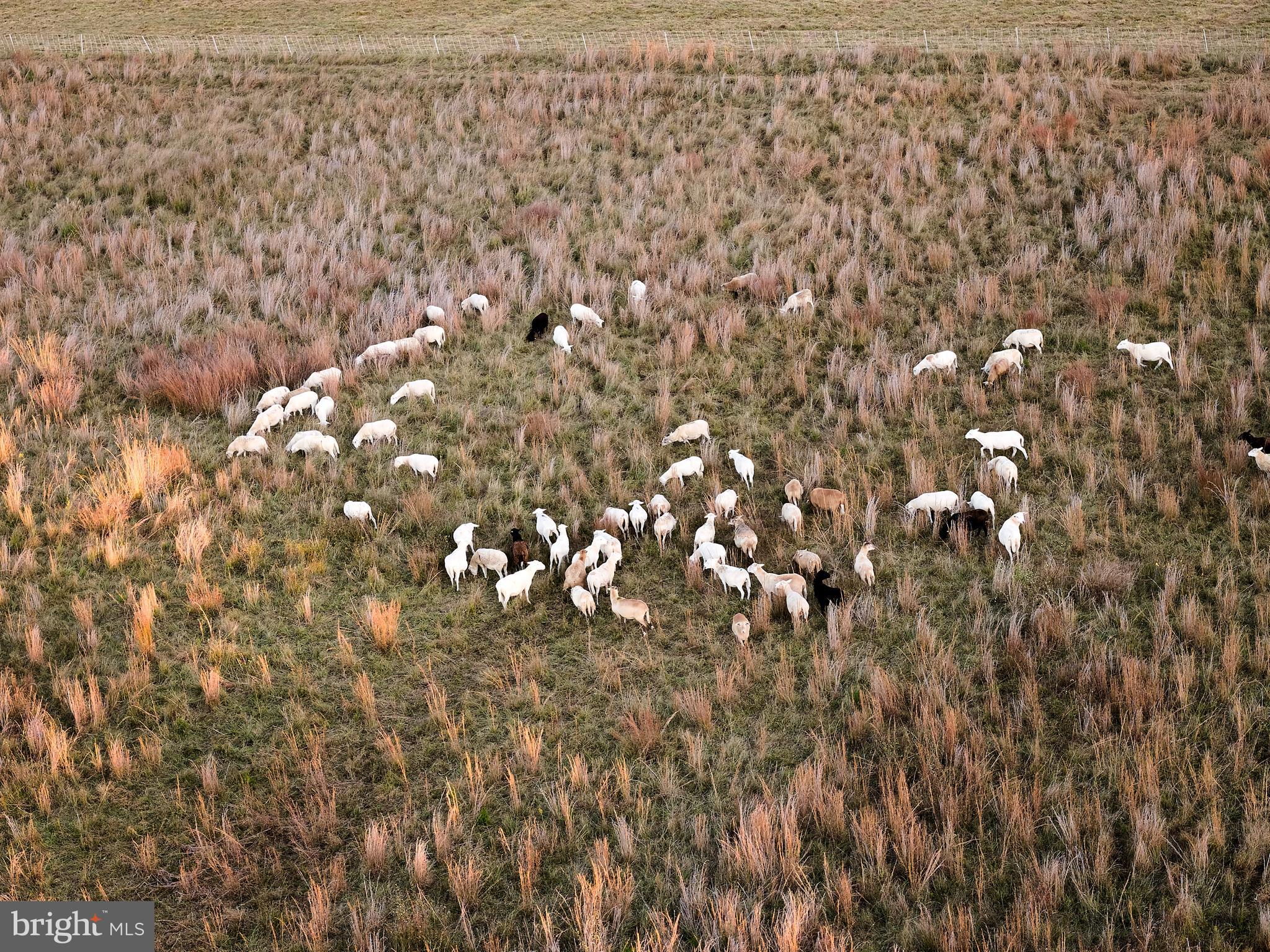 641 Cafferty Road Ottsville, PA 18942 - Photo 13 of 45