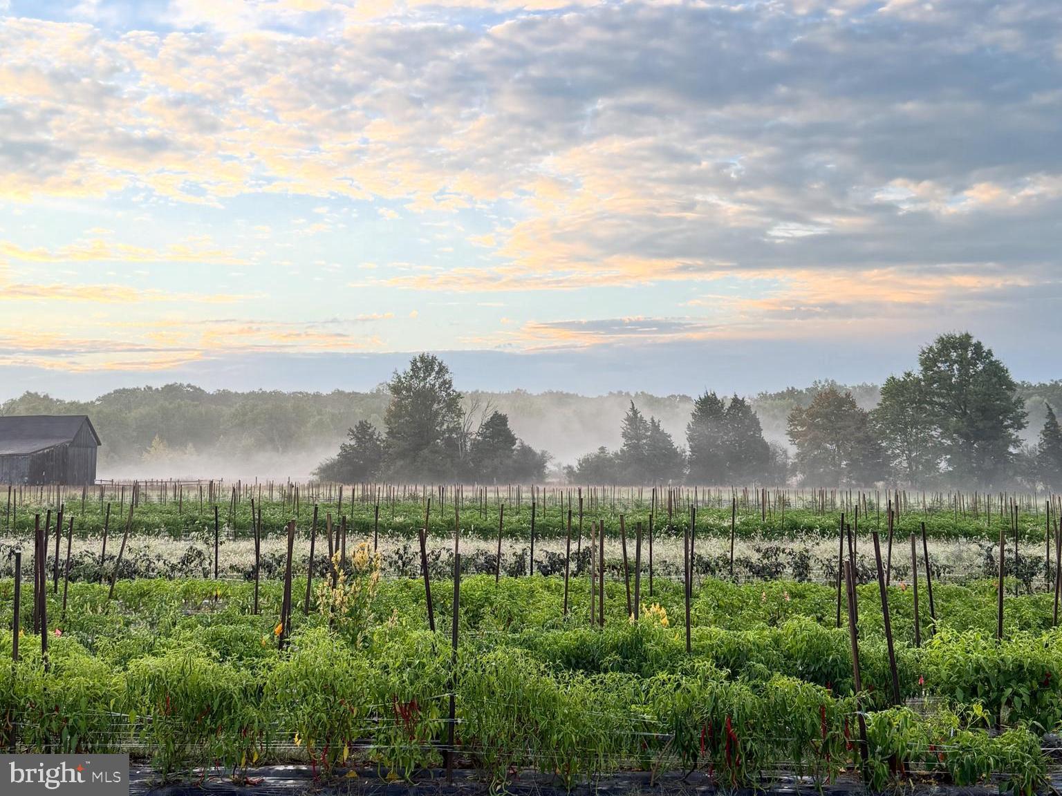 641 Cafferty Road Ottsville, PA 18942 - Photo 16 of 45 a view of city and mountain