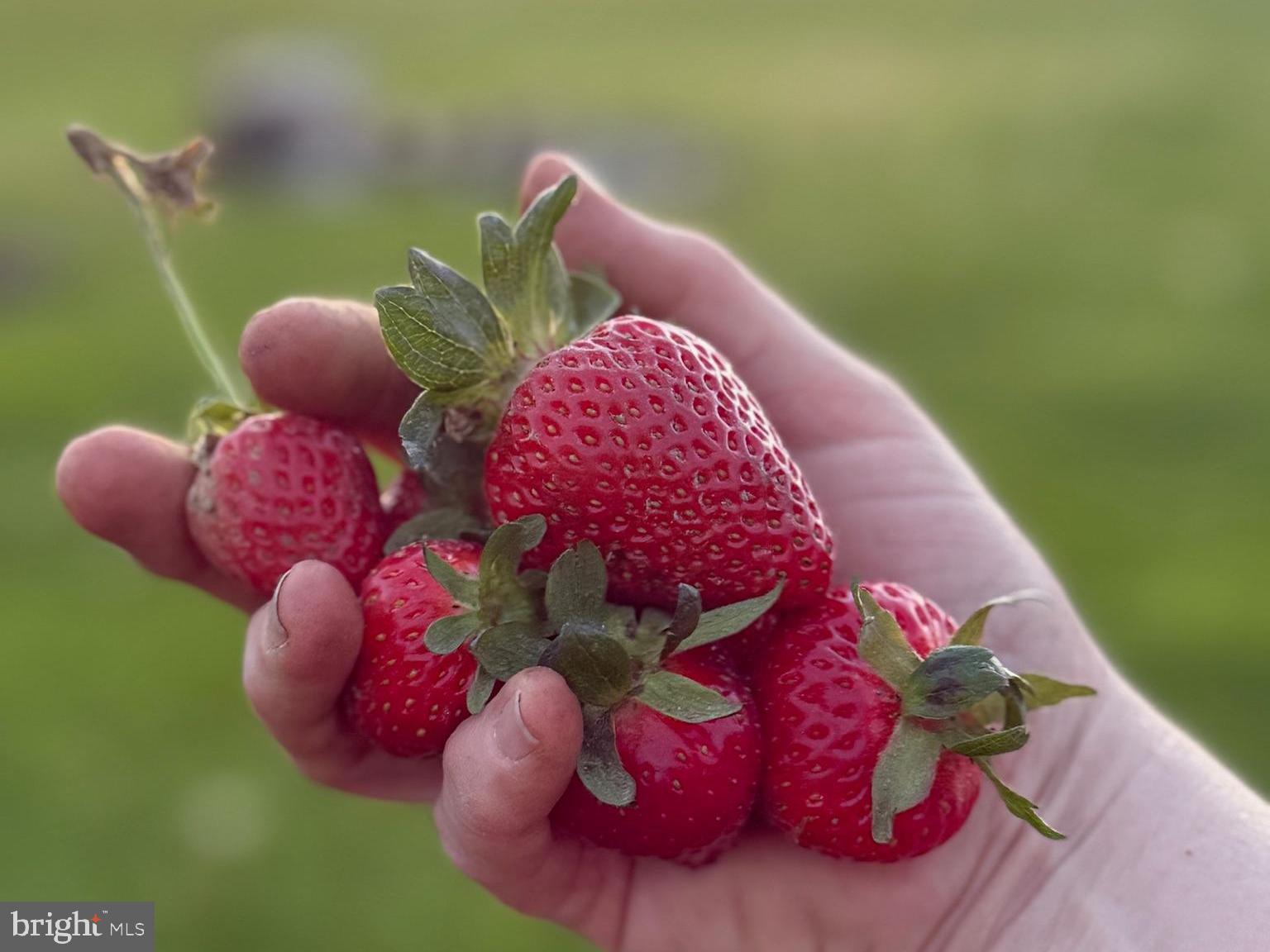 641 Cafferty Road Ottsville, PA 18942 - Photo 19 of 45 a bathroom with a mirror and a small space