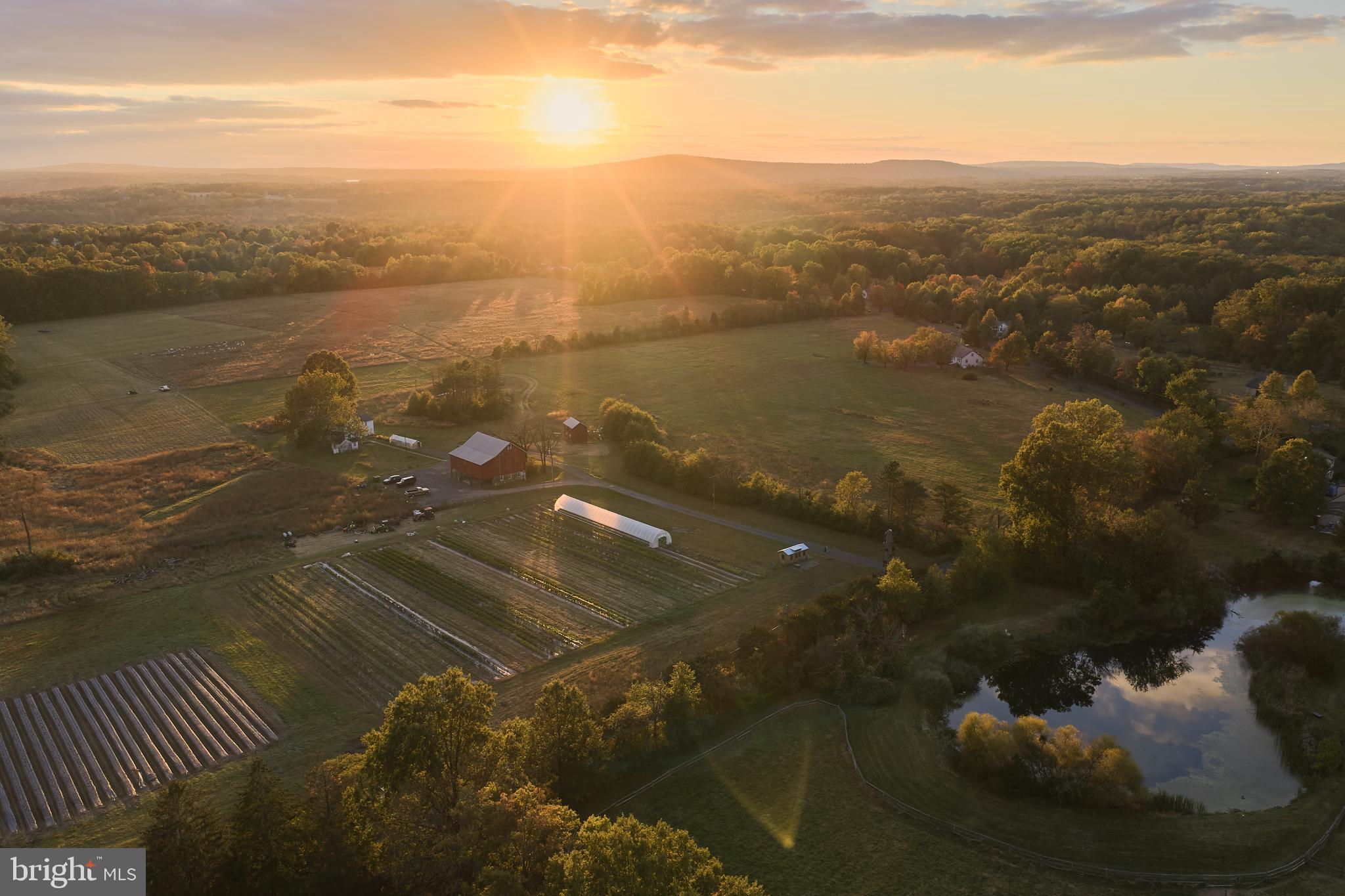 641 Cafferty Road Ottsville, PA 18942 - Photo 6 of 45