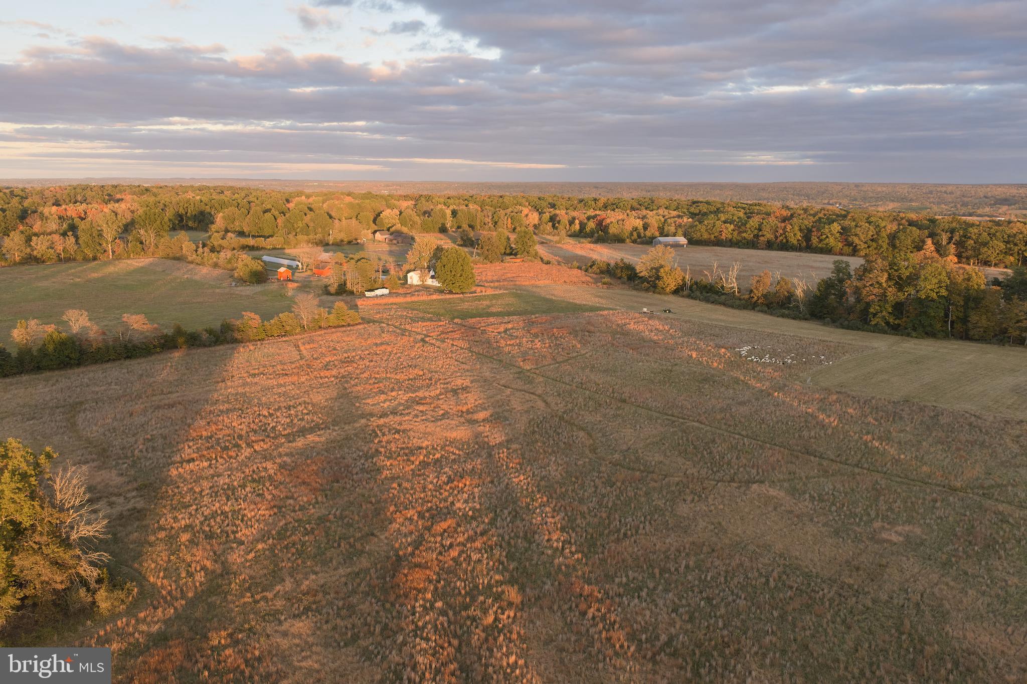 641 Cafferty Road Ottsville, PA 18942 - Photo 7 of 45