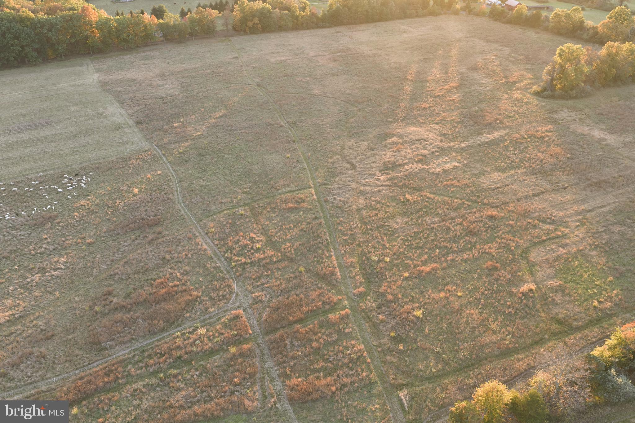 641 Cafferty Road Ottsville, PA 18942 - Photo 9 of 45 a view of a dry yard
