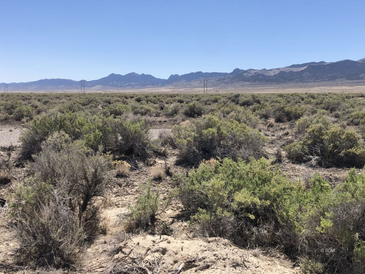 Lot 64 Sun Valley, Unit 64 Spring Creek, NV 89815 - Photo 2 of 4