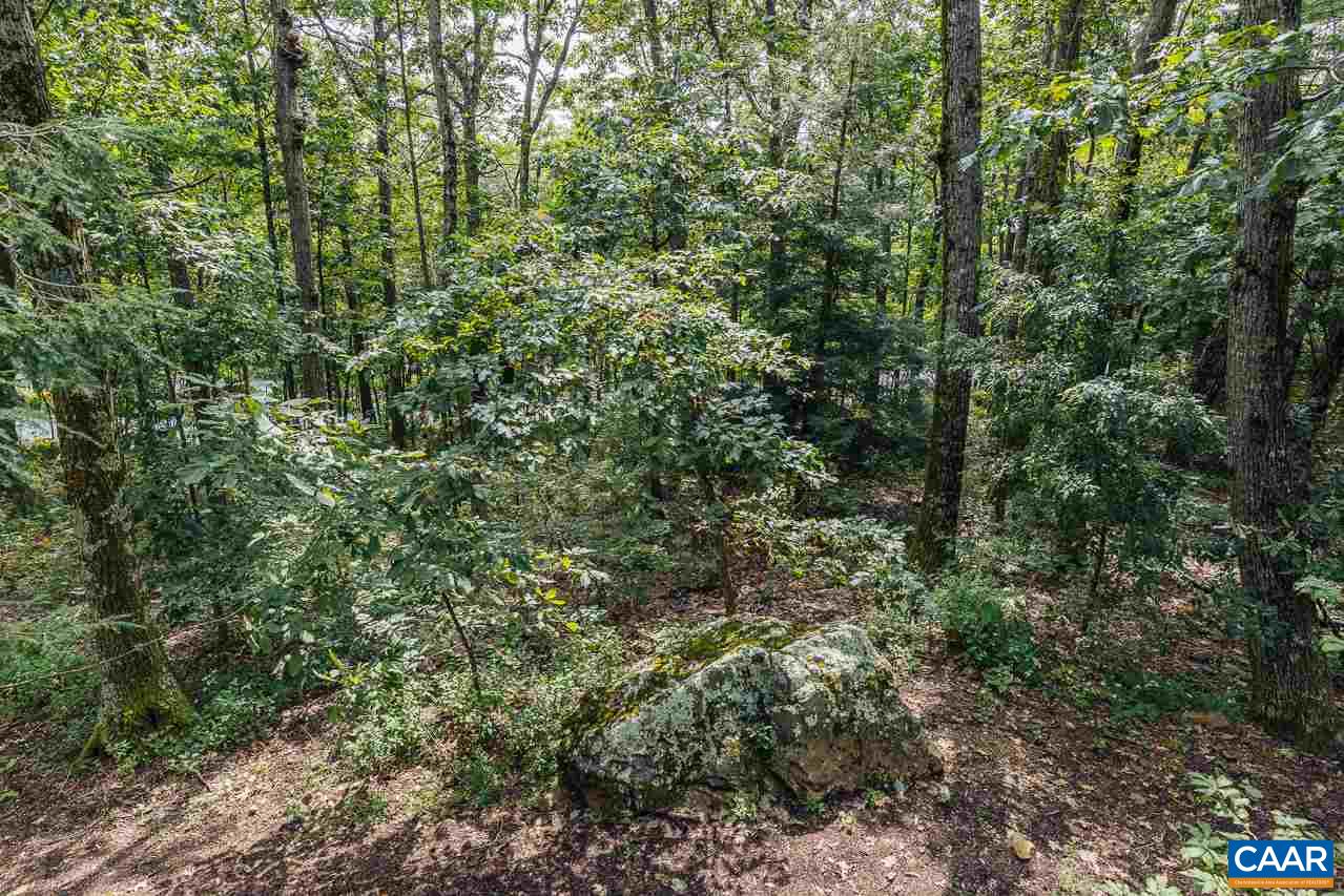 402 3 Ridges Roseland, VA 22967 - Photo 14 of 15 a view of a lush green forest