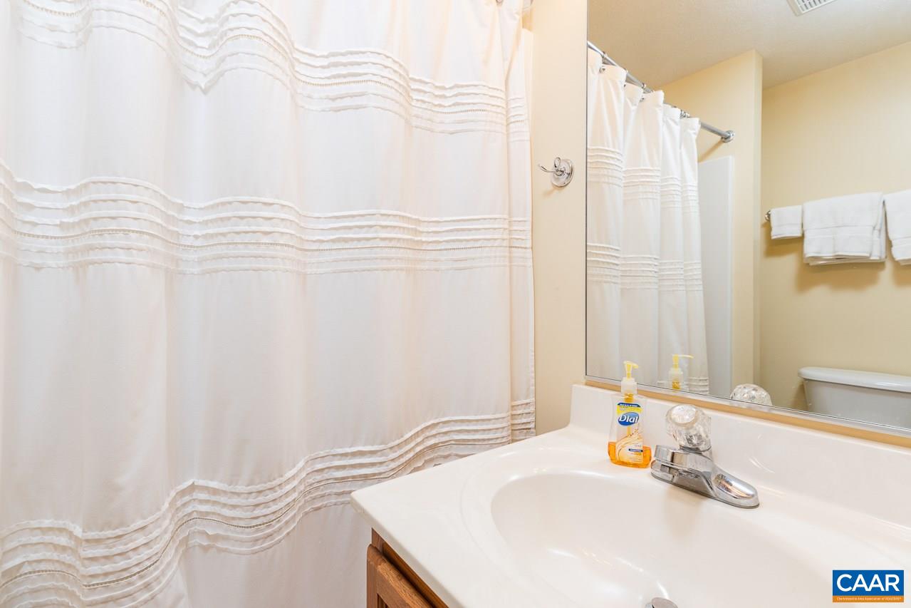 402 3 Ridges Roseland, VA 22967 - Photo 9 of 15 a bathroom with a sink and a mirror