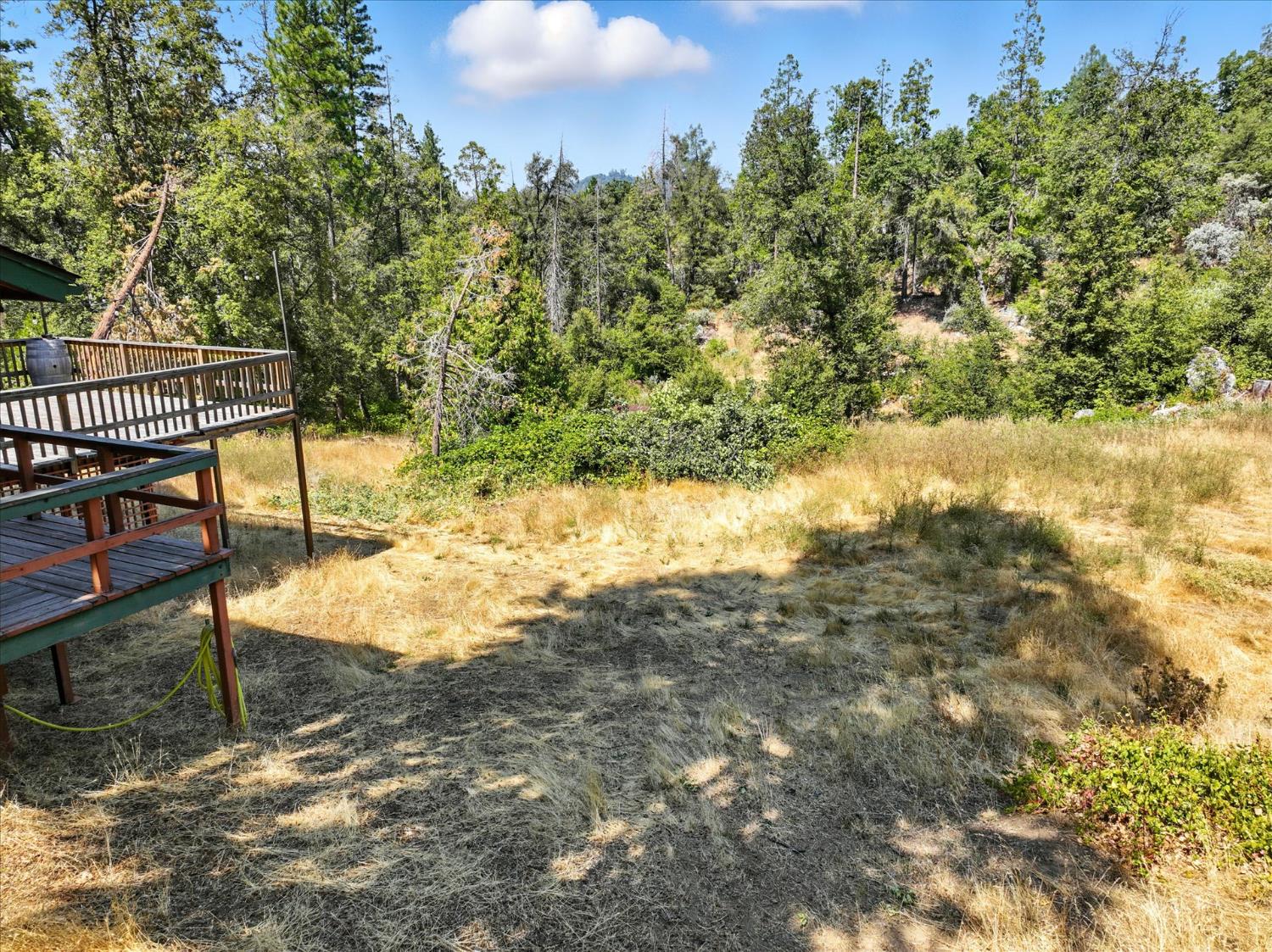 39712 Deer Ridge Drive Oakhurst, CA 93644 - Photo 31 of 40 a view of backyard with wooden fence