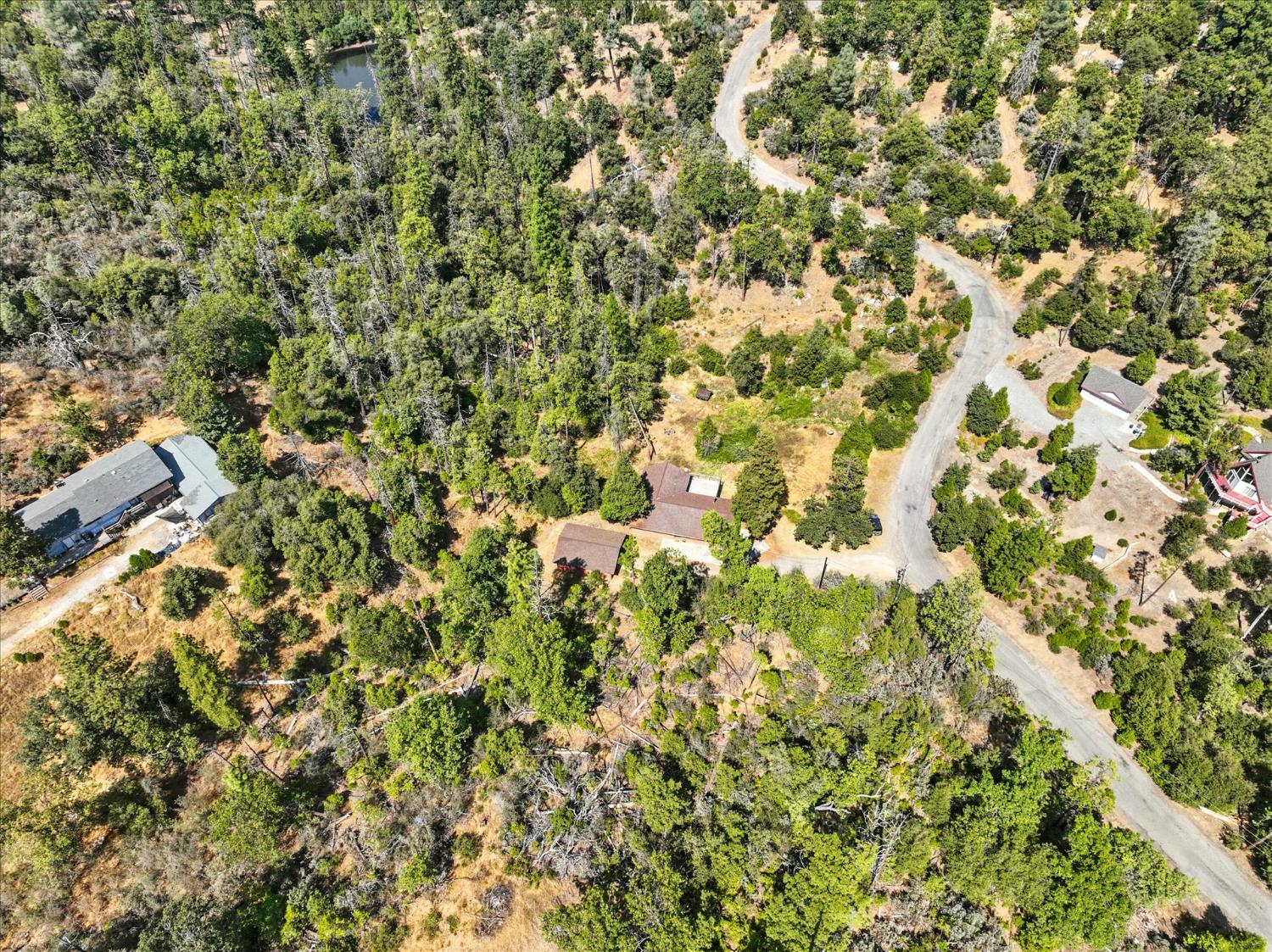 39712 Deer Ridge Drive Oakhurst, CA 93644 - Photo 39 of 40 a view of a tree with a plant