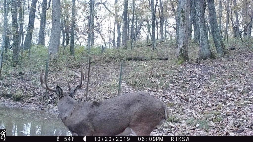 Xx Xx Simons Road Mondovi, WI 54755 - Photo 21 of 45