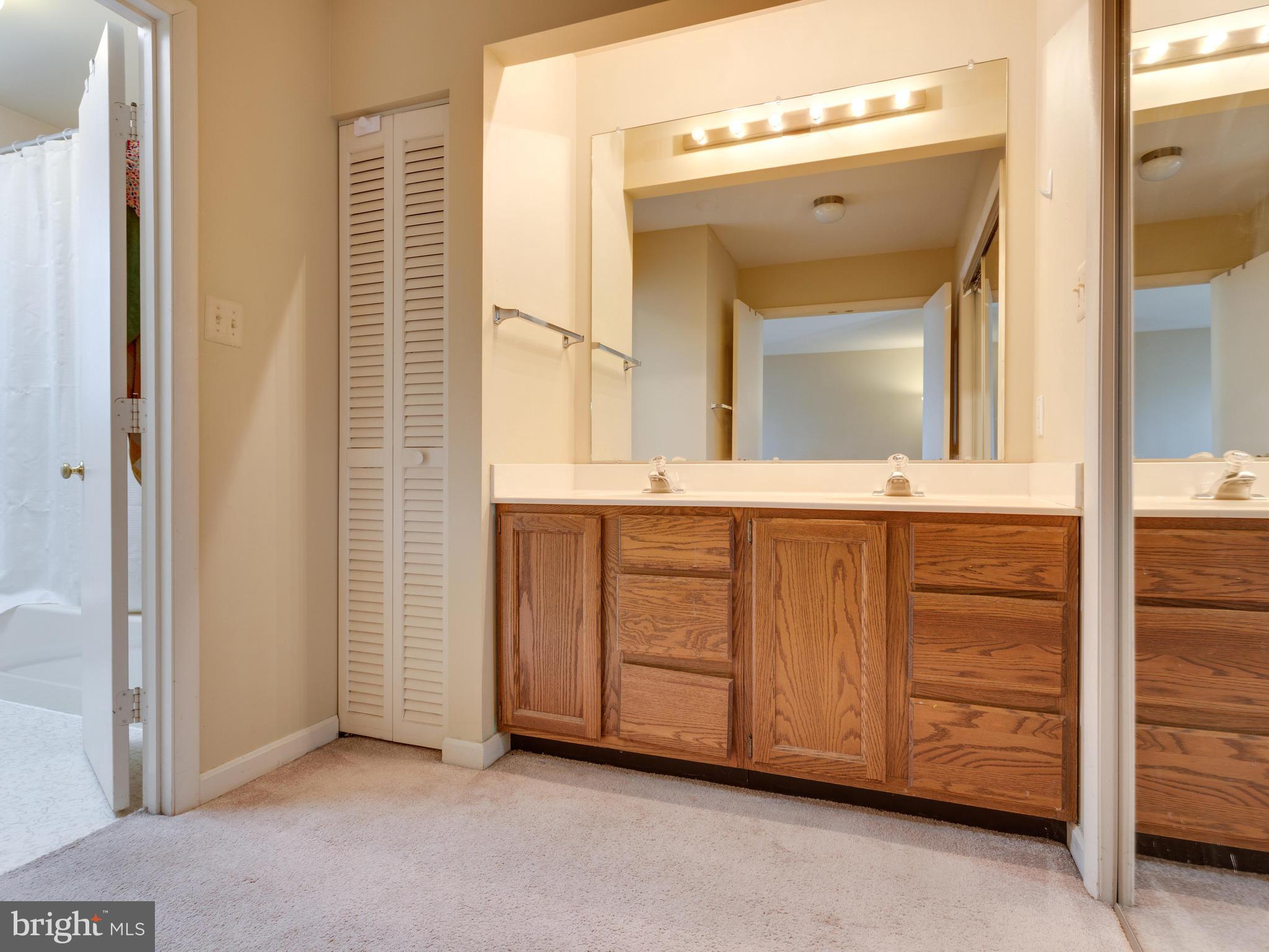 12995 Smoketown Road Woodbridge, VA 22192 - Photo 22 of 30 Bath (Master)