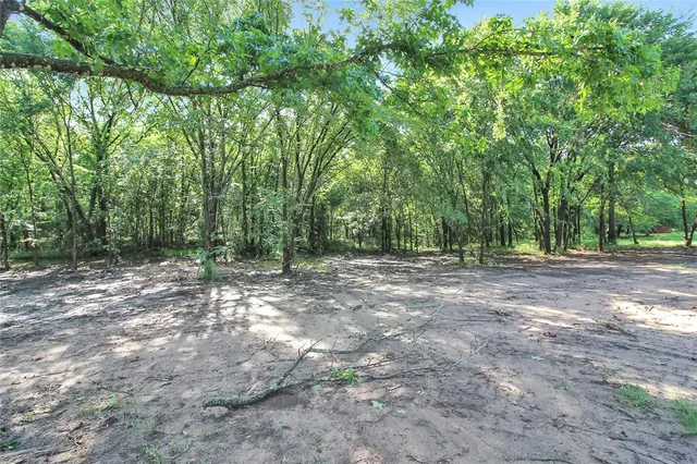 a view of outdoor space with trees
