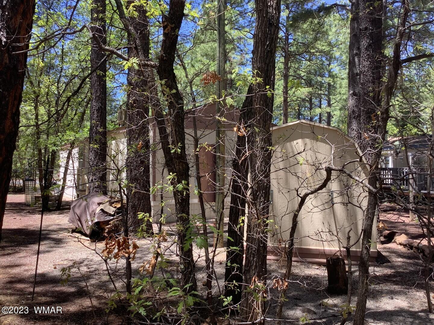 4321 South Blue Ridge Loop Pinetop, AZ 85935 - Photo 21 of 25