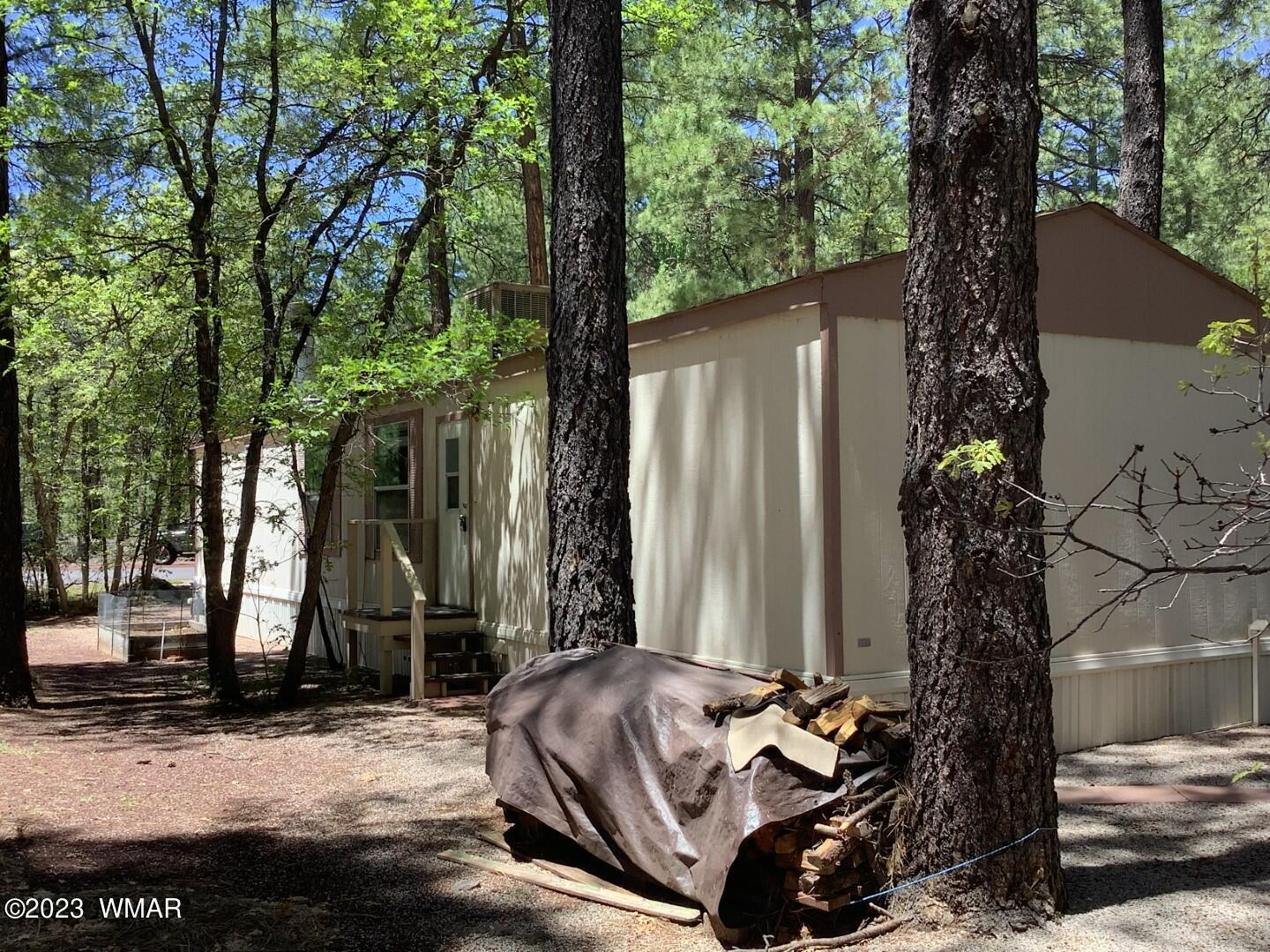 4321 South Blue Ridge Loop Pinetop, AZ 85935 - Photo 22 of 25