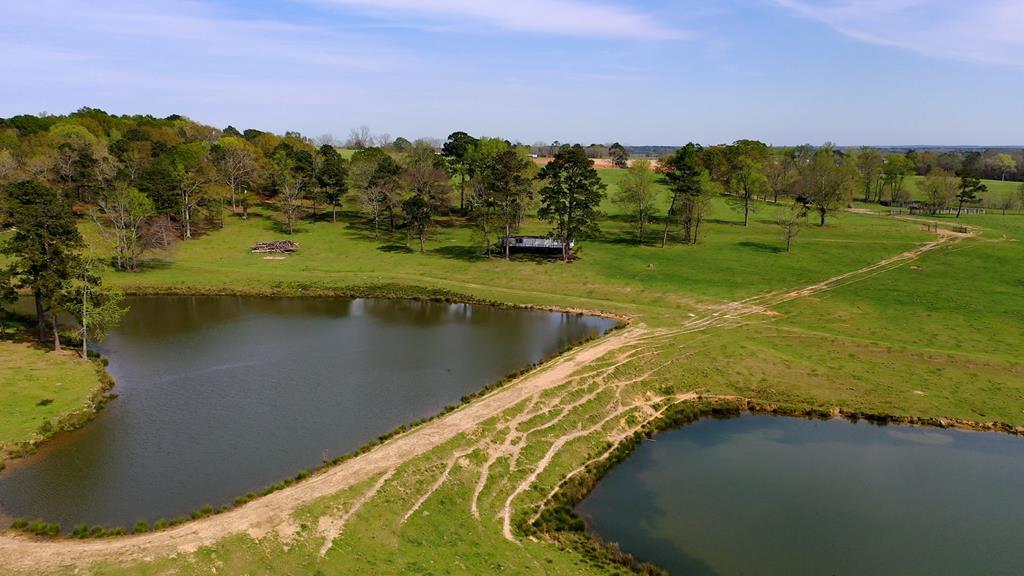 369 Bud Gary Road Clayton, AL 36016 - Photo 1 of 42