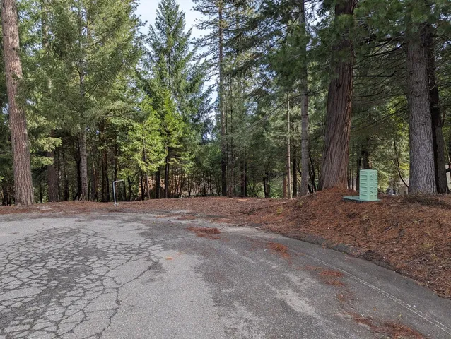 $27,000 | 16930 Fairview Court, Pioneer, CA 95666