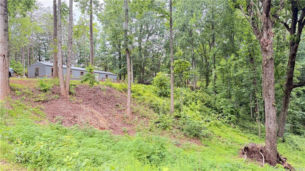 11 Iberian Road Dahlonega, GA 30533 - Photo 5 of 14