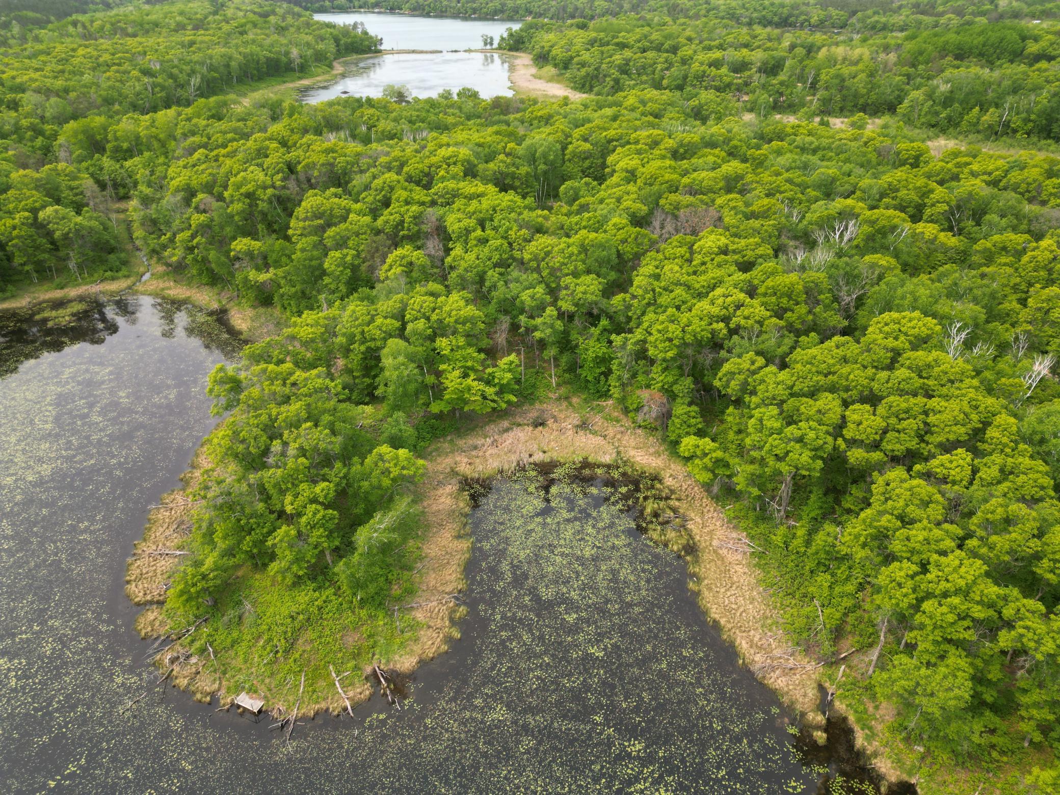 Tbd Tbd Little Bass Lake Road Baxter, MN 56425 - Photo 24 of 27