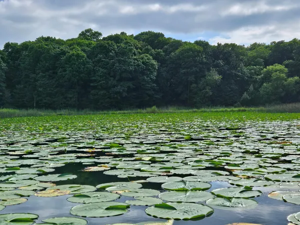 $212,500 | Tbd Valley Lane Southwest, Farwell, MN 56327