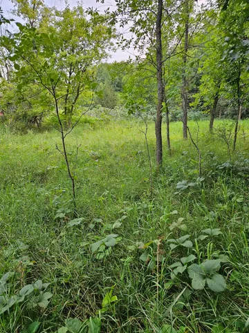 $250,000 | Tbd Valley Lane Southwest, Farwell, MN 56327
