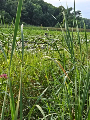 $250,000 | Tbd Valley Lane Southwest, Farwell, MN 56327