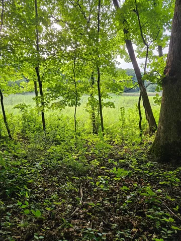 $250,000 | Tbd Valley Lane Southwest, Farwell, MN 56327