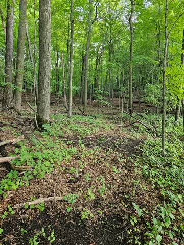 $250,000 | Tbd Valley Lane Southwest, Farwell, MN 56327