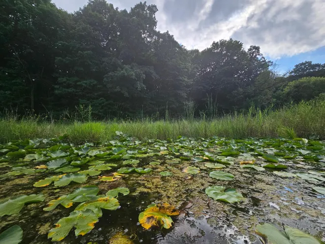 $250,000 | Tbd Valley Lane Southwest, Farwell, MN 56327