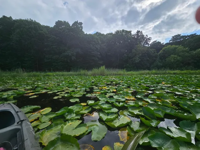 $250,000 | Tbd Valley Lane Southwest, Farwell, MN 56327