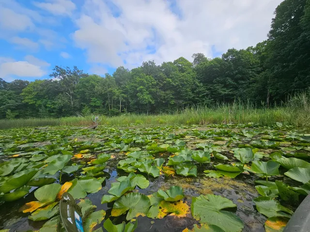 $250,000 | Tbd Valley Lane Southwest, Farwell, MN 56327