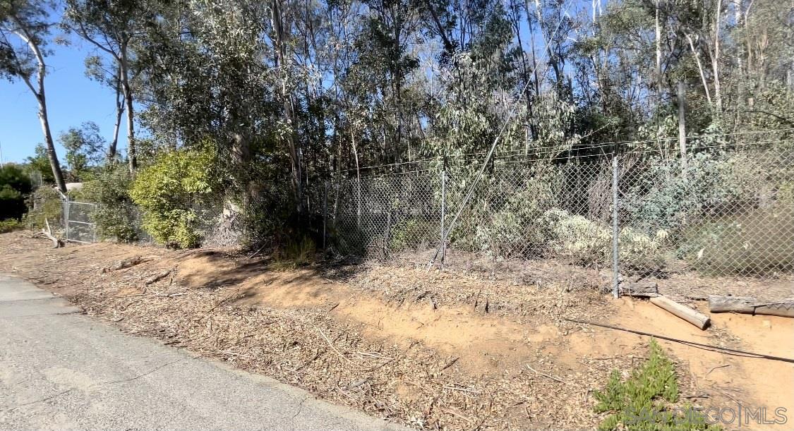 0 Vickers Road Fallbrook, CA 92028 - Photo 4 of 7 a view of a yard with a tree