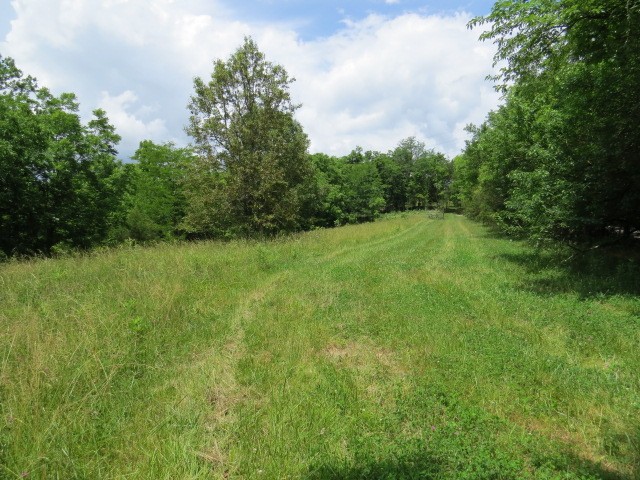 200 Hardy Road Pulaski, TN 38478 - Photo 3 of 20