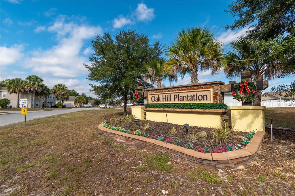 2839 Northeast 43rd Road Ocala, FL 34470 - Photo 49 of 50 a view of a water fountain and large trees