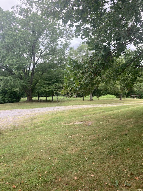 638 Locke Creek Road Readyville, TN 37149 - Photo 11 of 25 Gallery Image 11