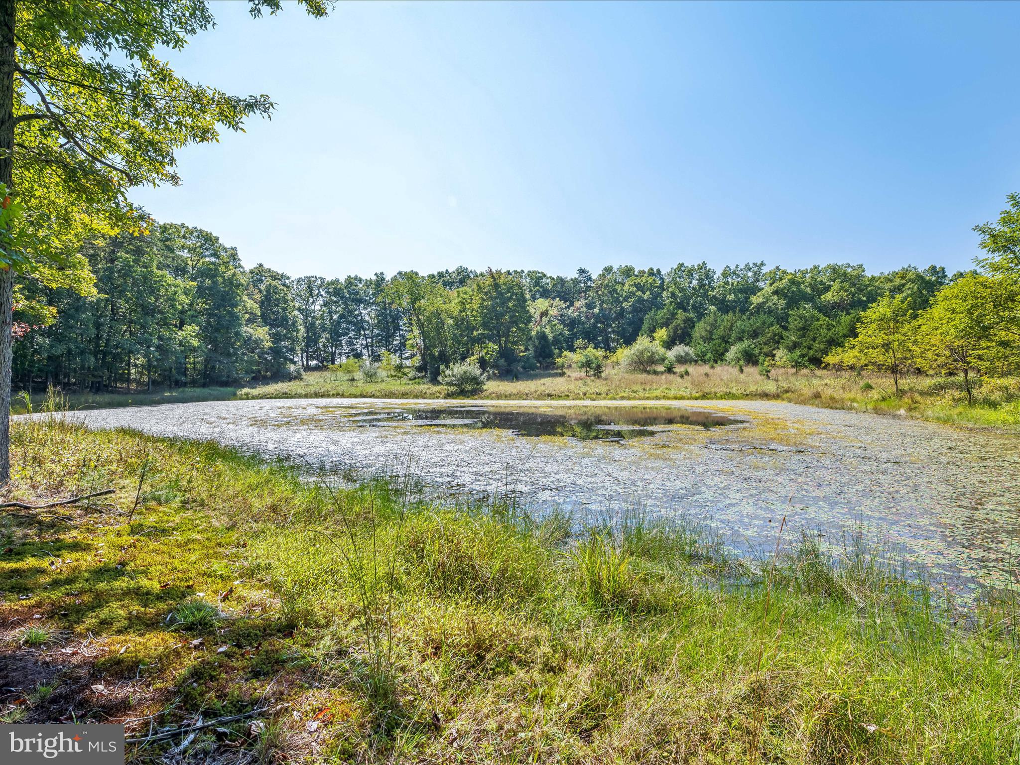 584 Pine Grove Road Berkeley Springs, WV 25411 - Photo 3 of 42 Pond