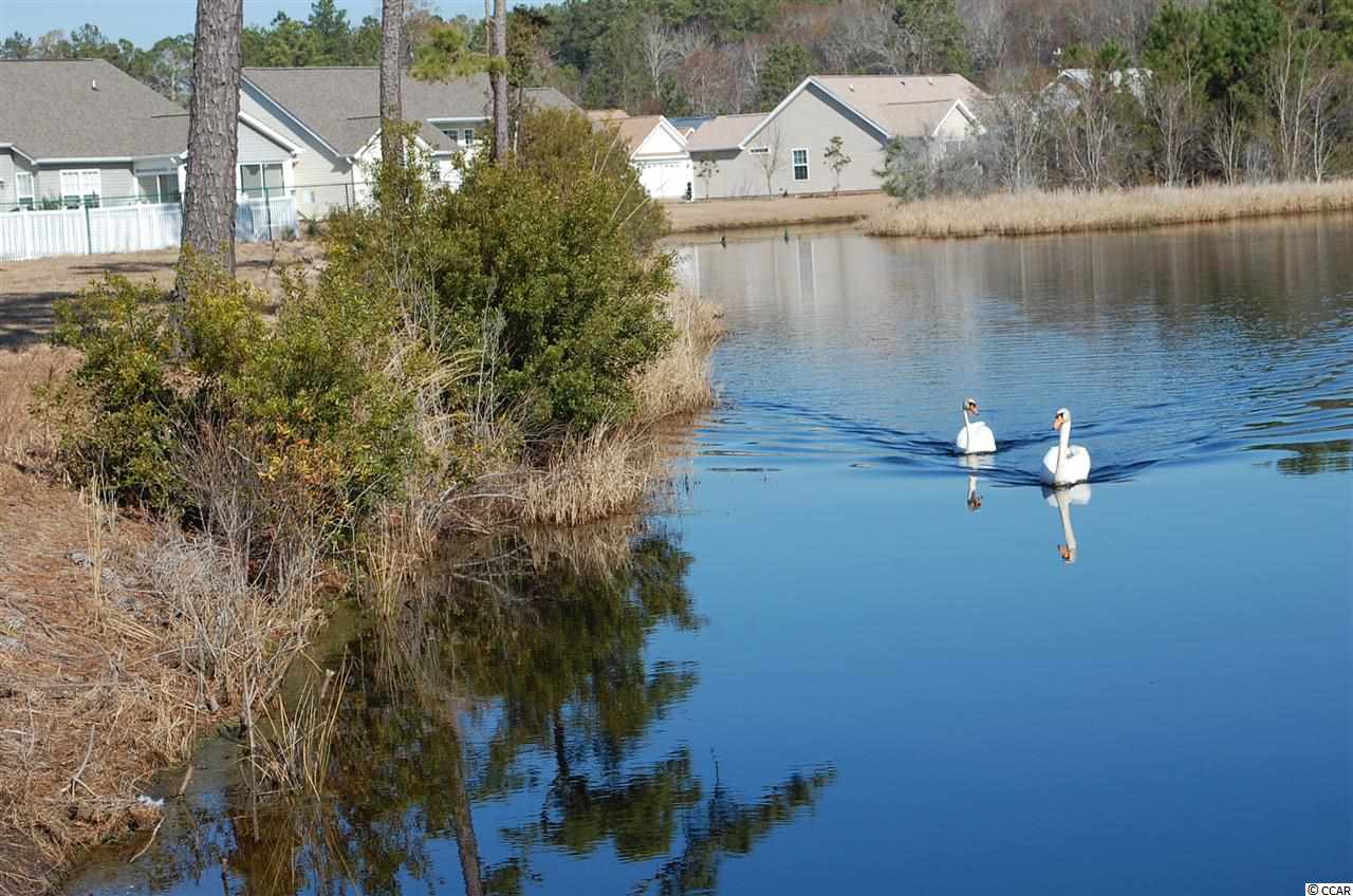 98 Kilpatrick Court Murrells Inlet, SC 29576 - Photo 22 of 24 Gallery Image 22
