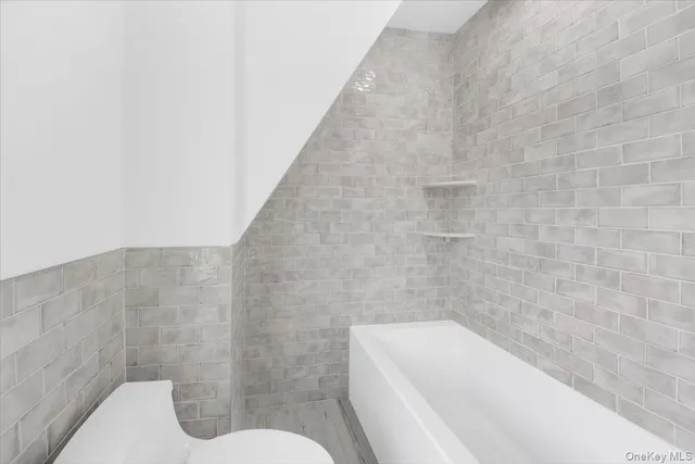 a bathroom with a toilet and bathtub