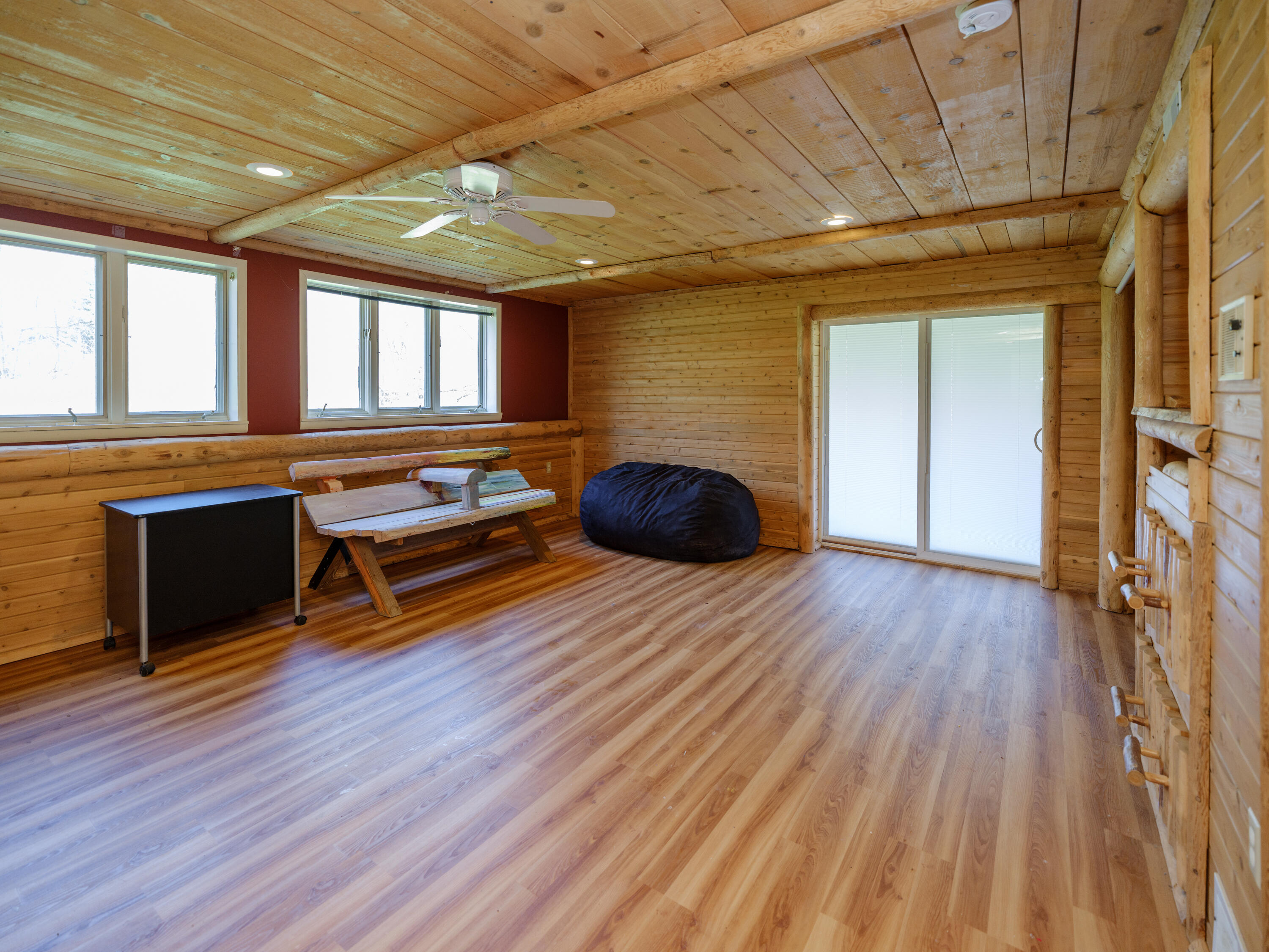 117 4th Street Plainwell, MI 49080 - Photo 36 of 67 LL Bedroom/Rec Room