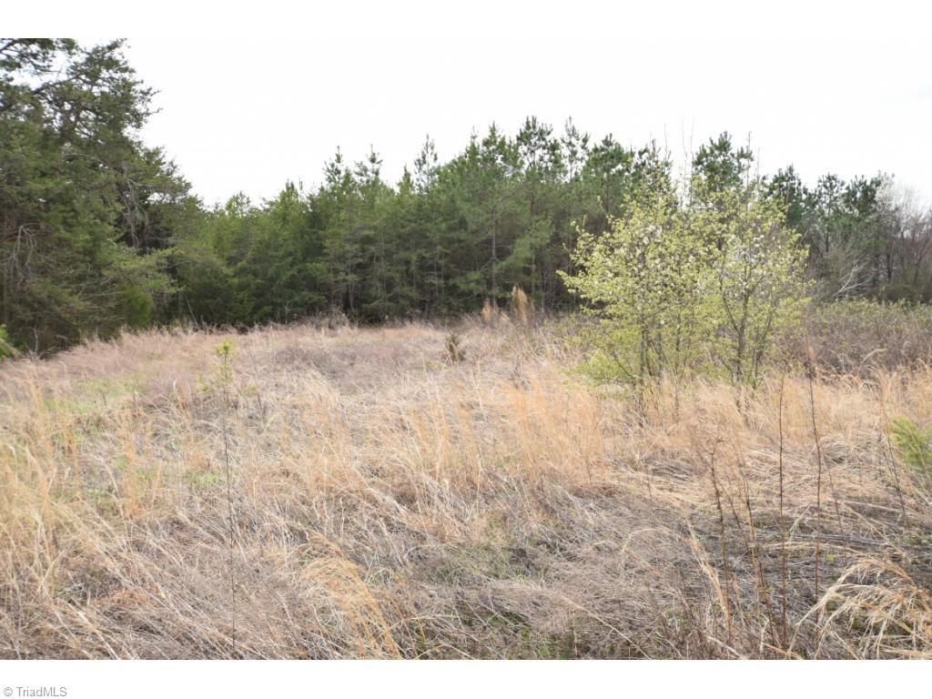 0 Saw Mill Road Burlington, NC 27217 - Photo 3 of 9 Gallery Image 3