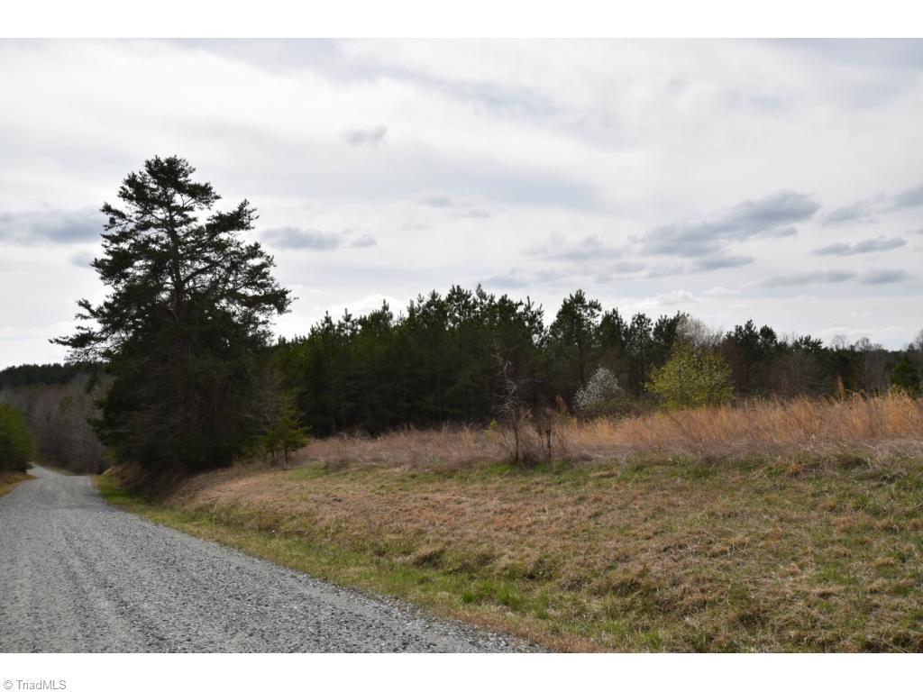 0 Saw Mill Road Burlington, NC 27217 - Photo 4 of 9 Gallery Image 4