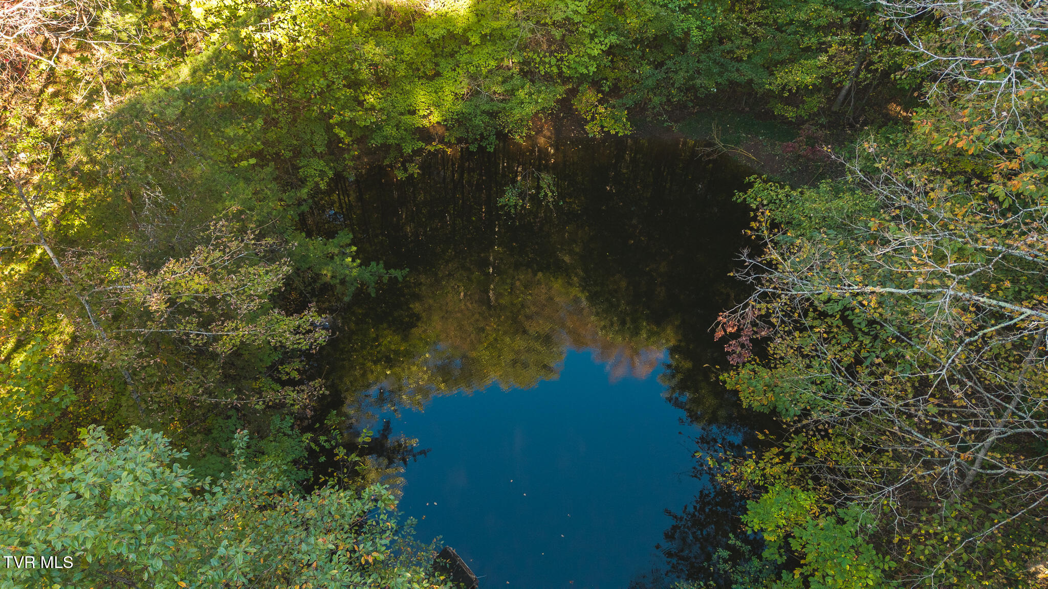 69.26-acre Wolfe Road Sneedville, TN 37869 - Photo 2 of 27 DJI_20251001164953_0430_D