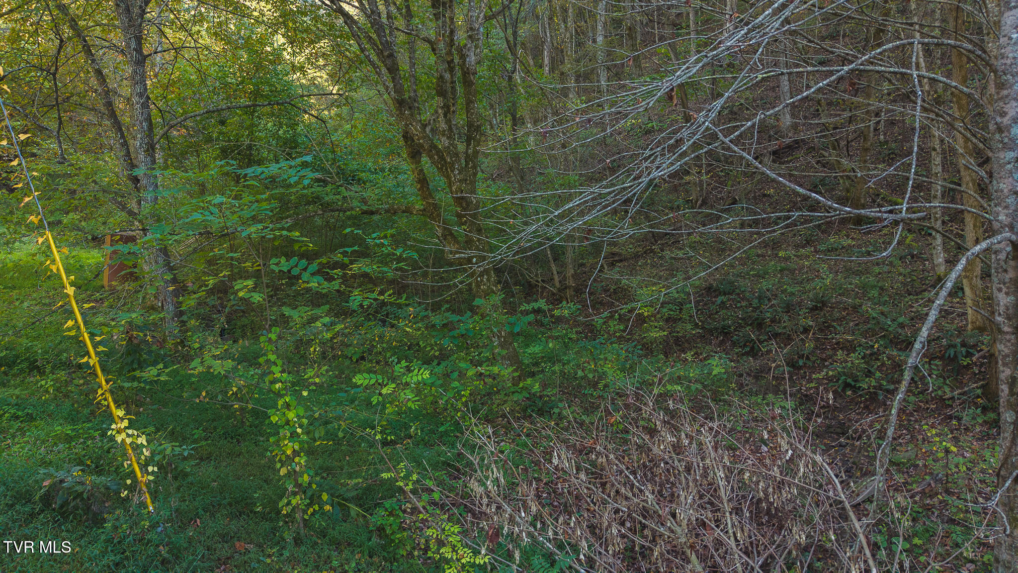 69.26-acre Wolfe Road Sneedville, TN 37869 - Photo 4 of 27 DJI_20251001163354_0406_D