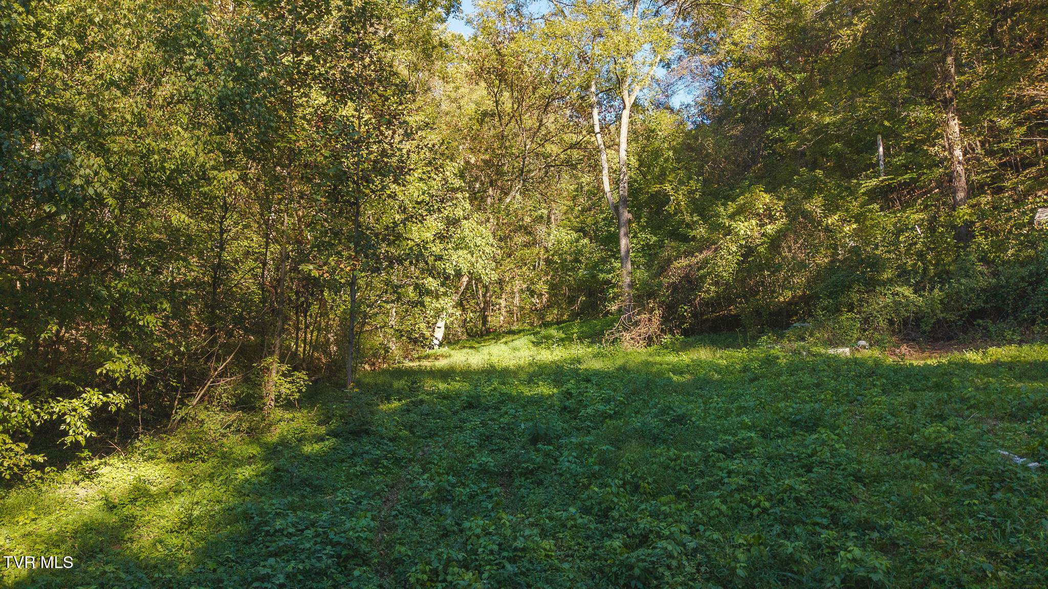 69.26-acre Wolfe Road Sneedville, TN 37869 - Photo 6 of 27 DJI_20251001163441_0410_D